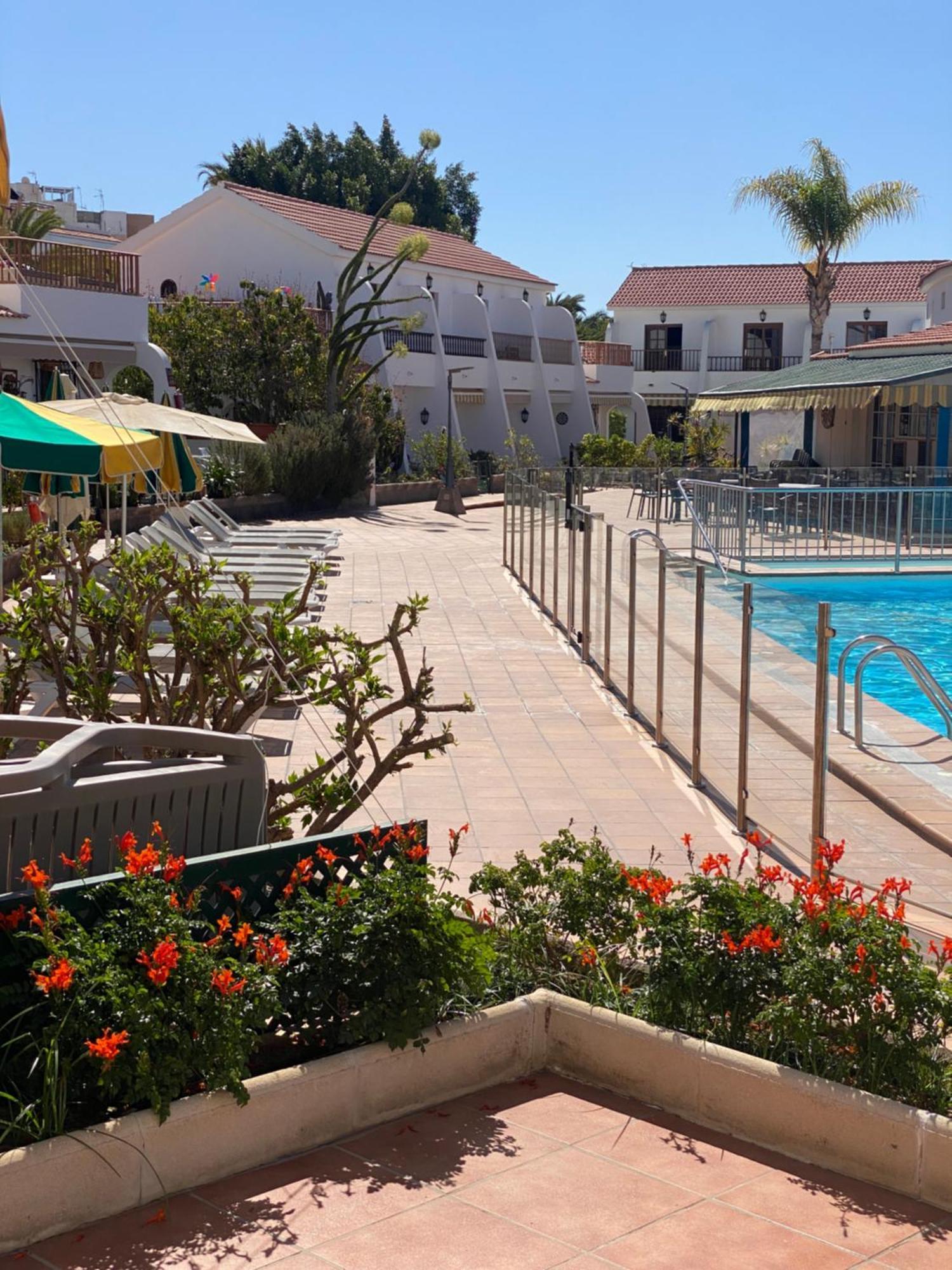Apartament Butterfly House Vibbecanarias Maspalomas Maspalomas (Gran Canaria)