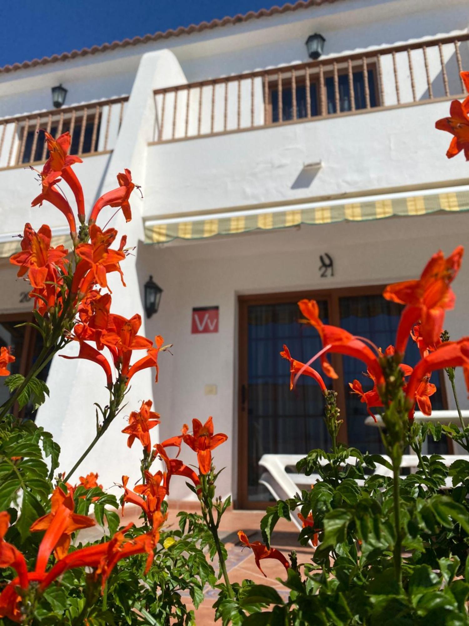 Apartament Butterfly House Vibbecanarias Maspalomas